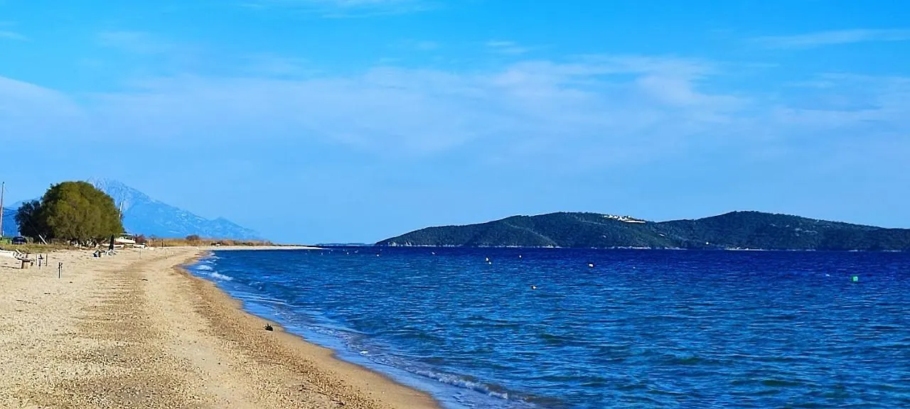 別荘 Authentic House Stratoni Chalkidiki Greece 6P Seaviewヴィラ