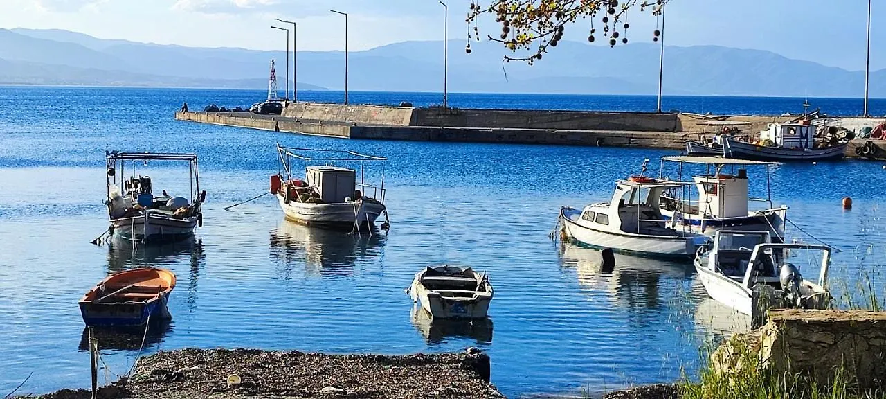 別荘 Authentic House Stratoni Chalkidiki Greece 6P Seaviewヴィラ