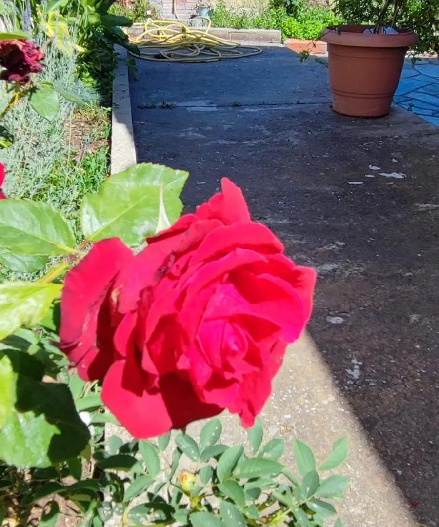 Authentic House Stratoni Chalkidiki Greece 6P Seaviewヴィラ ギリシャ